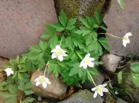 Foto0060.webp