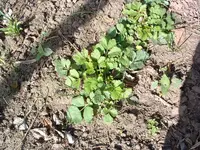 DSCF0013.webp