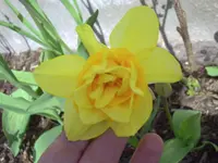 PICT0027.webp