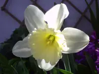PICT0037.webp