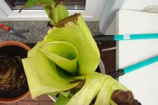 DSC02263.webp