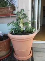 DSCF2628.webp