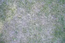 CIMG2456.webp