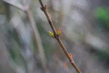 DSC_0018.webp