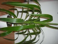 DSCF0001.webp