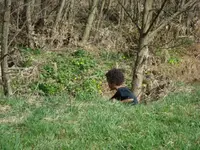 am Bach.webp
