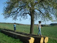Balanceakt.webp