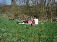 picknick.webp