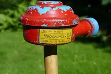 Pilz0.webp