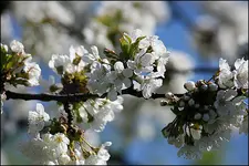 IMG_0042.webp