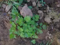 Foto.webp