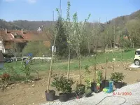 dehnereinkauf.webp