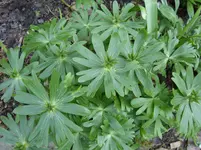 fotos 001.webp