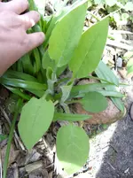 fotos 005.webp