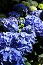 IMG_0102.webp