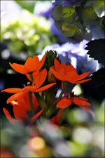 IMG_0111.webp