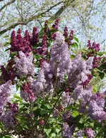 IMG_1674.webp