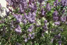 IMG_1673.webp
