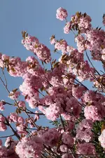 IMG_1671.webp