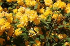 IMG_1670.webp