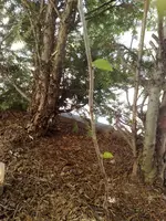 110420111485.webp