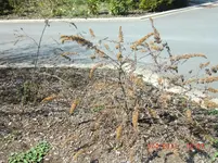 CIMG1846.webp
