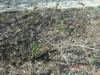 CIMG1847.webp