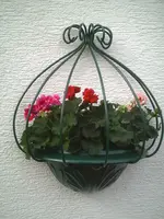 Wandampel.webp