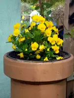 SDC13332.webp