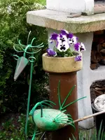SDC13334.webp