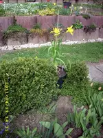 JD500328.webp