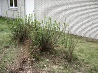 img_0307.webp