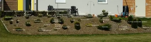 DSCF8040.webp
