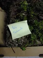 DSCF8050.webp