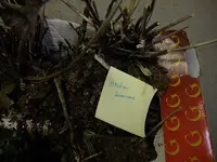 DSCF8053.webp