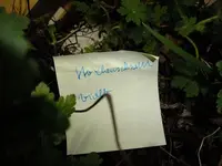 DSCF8055.webp