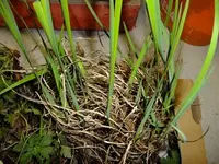 DSCF8056.webp