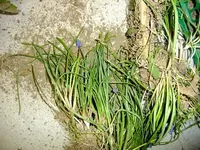 DSCF8057.webp