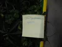 DSCF8058.webp