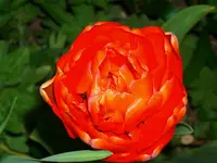 DSCI1333.webp