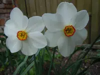 216.webp