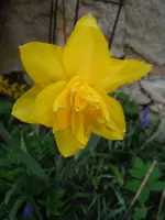 195.webp