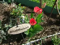 DSCF5242.webp
