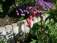 DSCF5243.webp