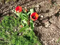 DSCF5244.webp
