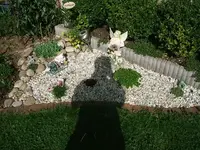 DSCF5245.webp