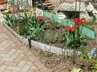 DSCF5246.webp