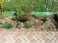DSCF5247.webp