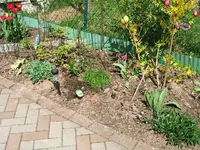 DSCF5248.webp