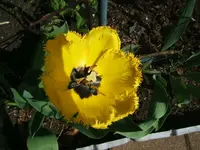 DSCF5250.webp